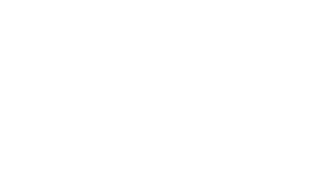 Wells-Fargo-Emblem-white